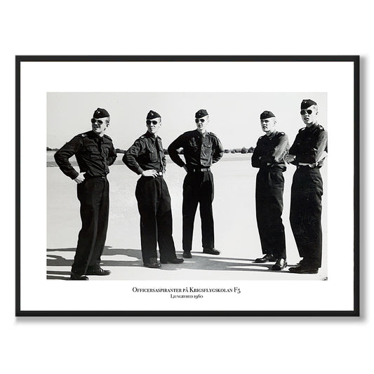 Poster flygvapnet officersaspiranter piloter