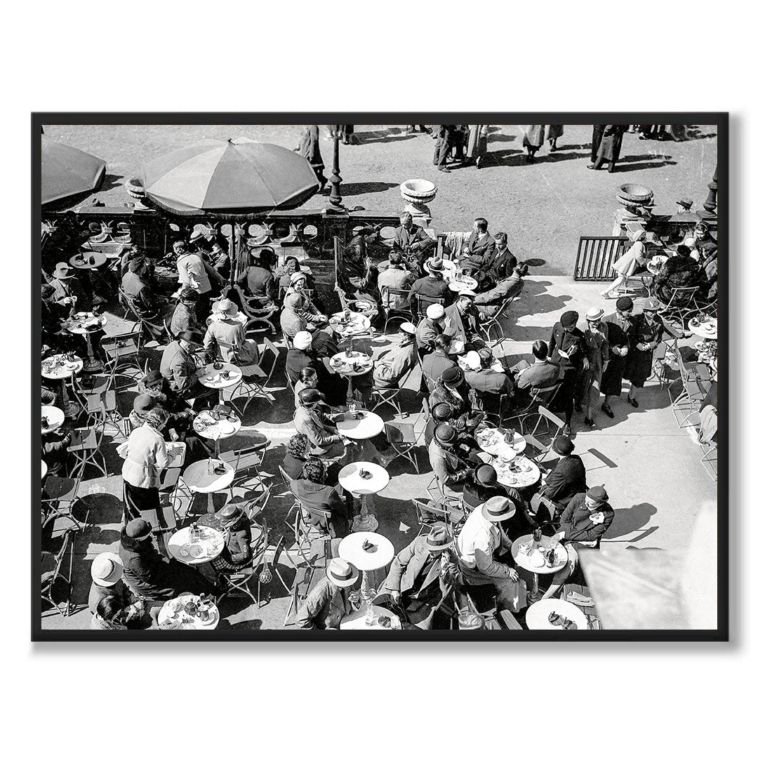 poster fotografi trädgårdsföreningen göteborg
